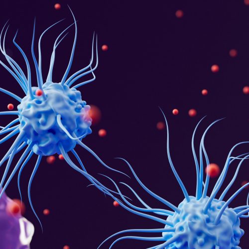 Superhelden der Medizin: Dendritische Zelltherapie bietet neue Chancen in der modernen Krebsbehandlung
